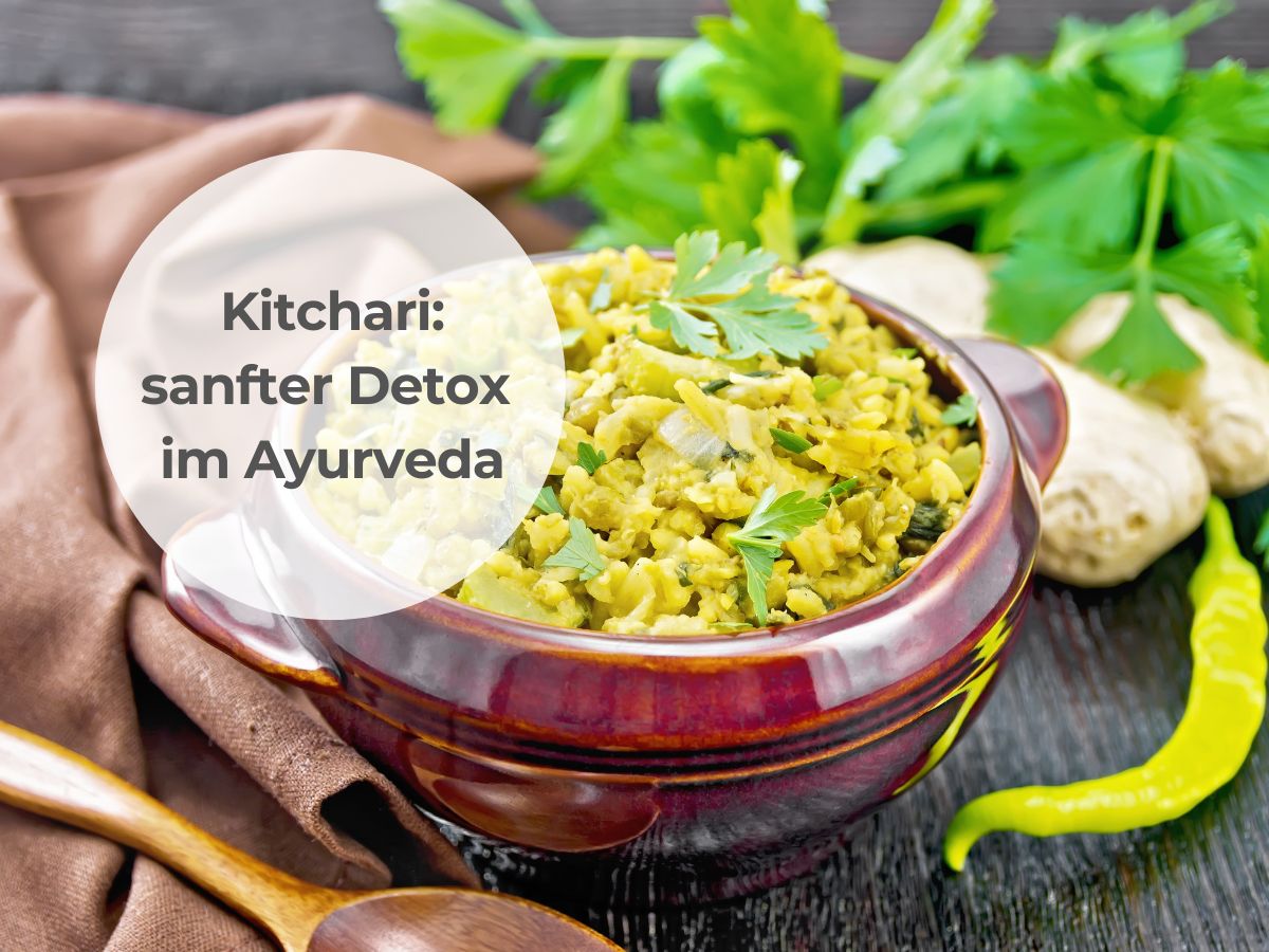 Julia Enn porno videoga tushdi