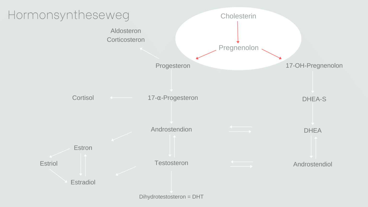 Alles über Progesteron inkl. 5 Tipps bei Progesteronmangel