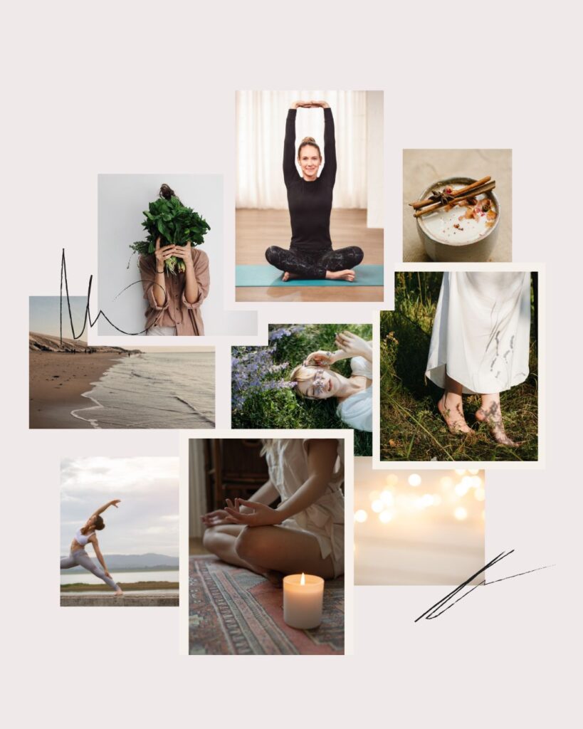 Bild zeigen Inhalte des Premium Memberbreichs The Balance Suite