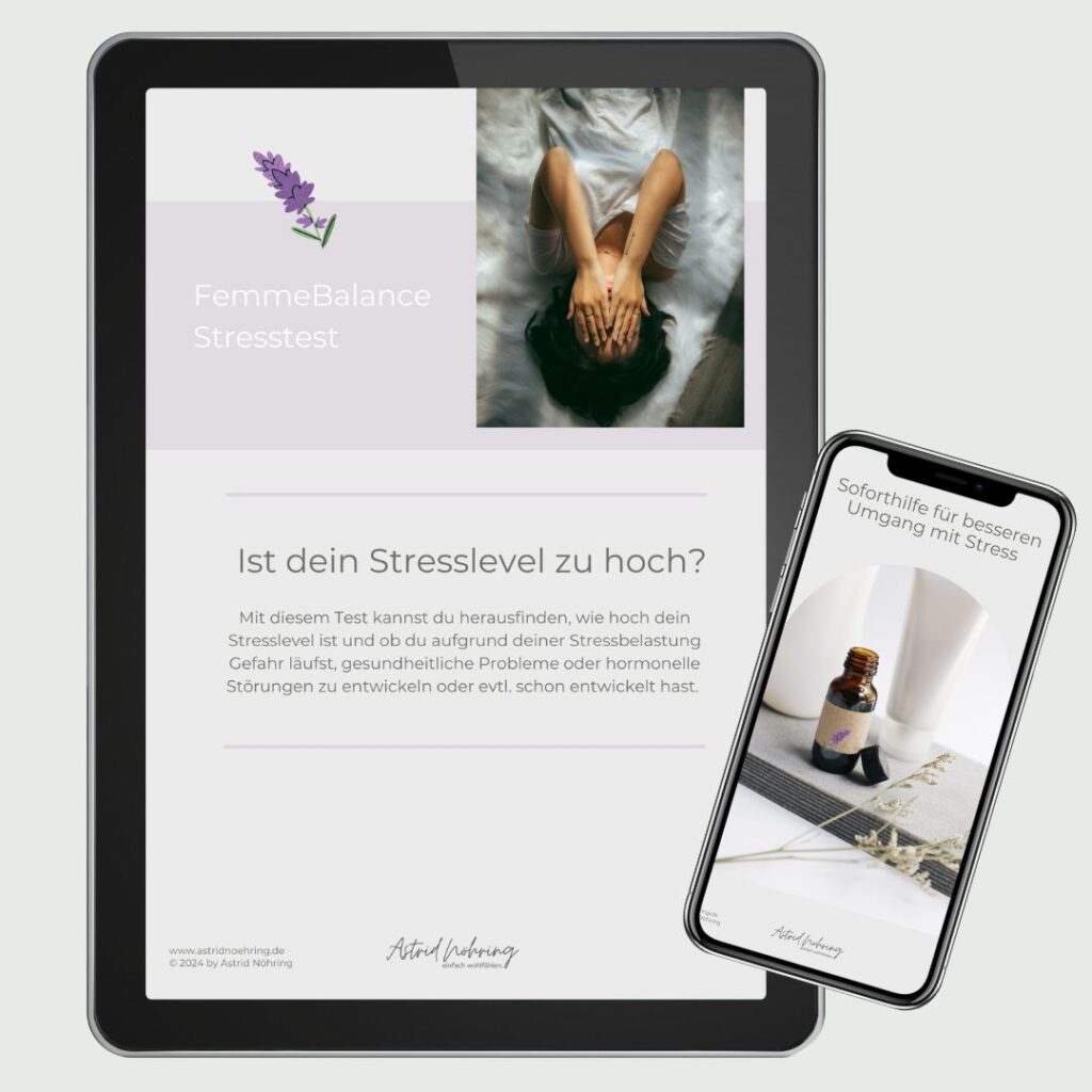 Vorschau auf den Stresstest auf einem Tablet und dem Smartphone