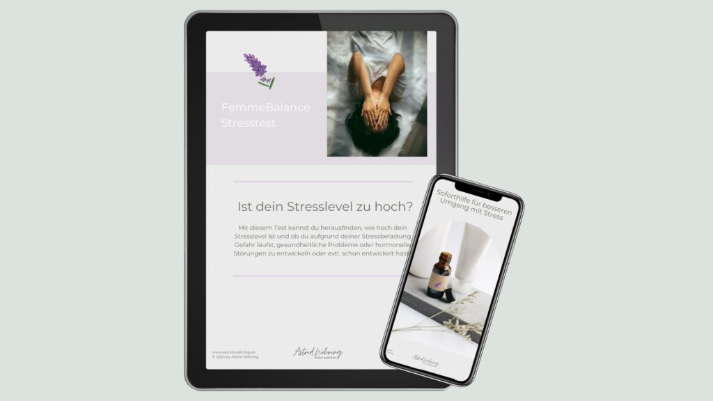 Abbildung des Stresstests für 0 Euro auf einem Tablet und einem Smartphone